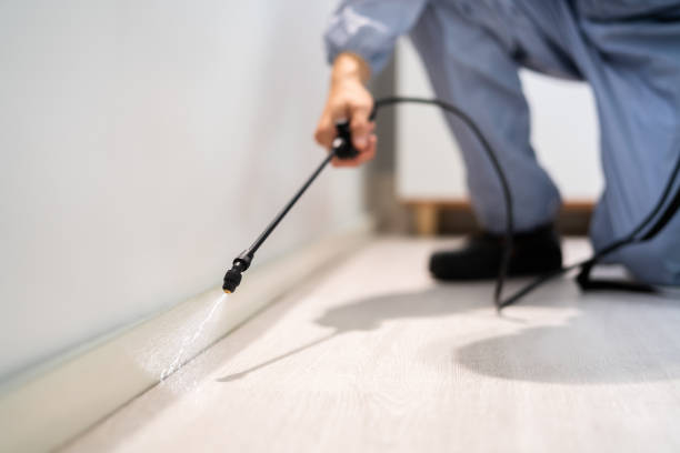 Licensed Termite Control service in Tiffin, IA - Nex Pest Control
