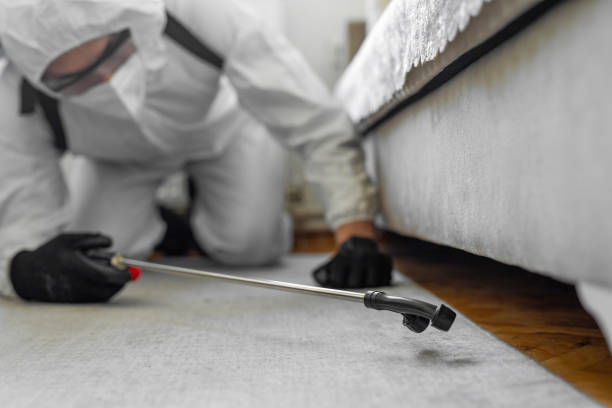 Professional Termite Control technician working in Tiffin, IA