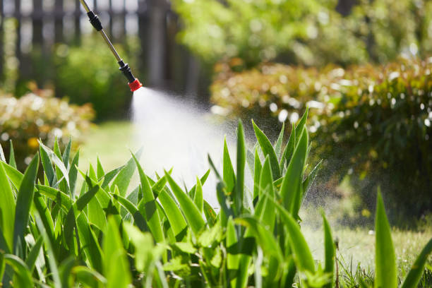 24/7 Emergency Termite Control experts in Tiffin, IA