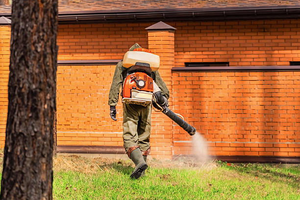 Trusted Cockroach Control service in Tiffin, IA - Nex Pest Control
